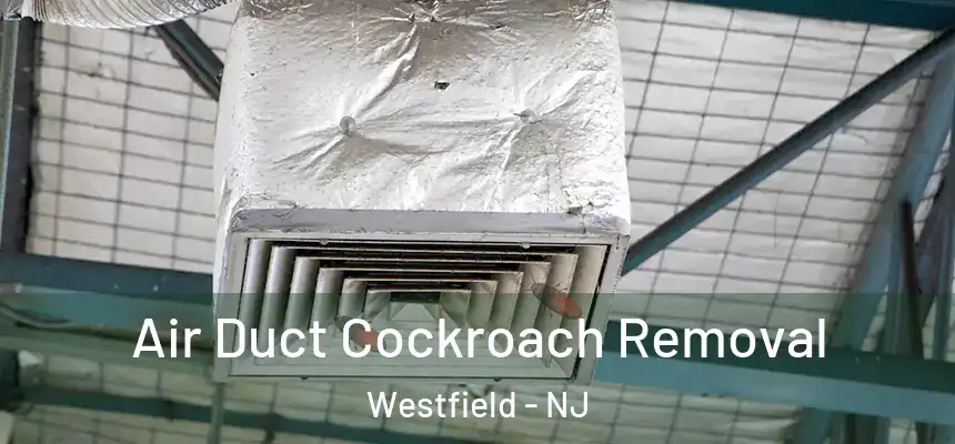  Air Duct Cockroach Removal Westfield - NJ