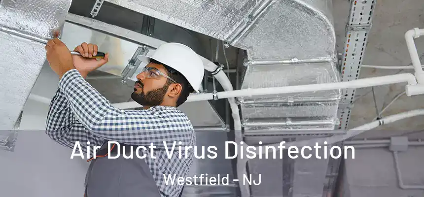  Air Duct Virus Disinfection Westfield - NJ