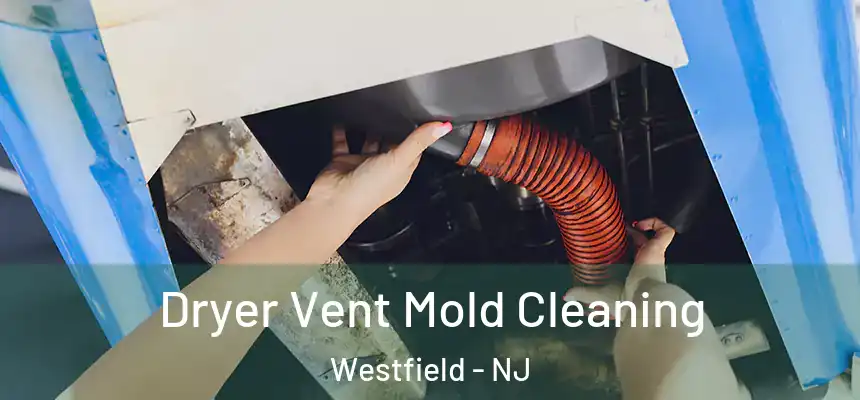  Dryer Vent Mold Cleaning Westfield - NJ