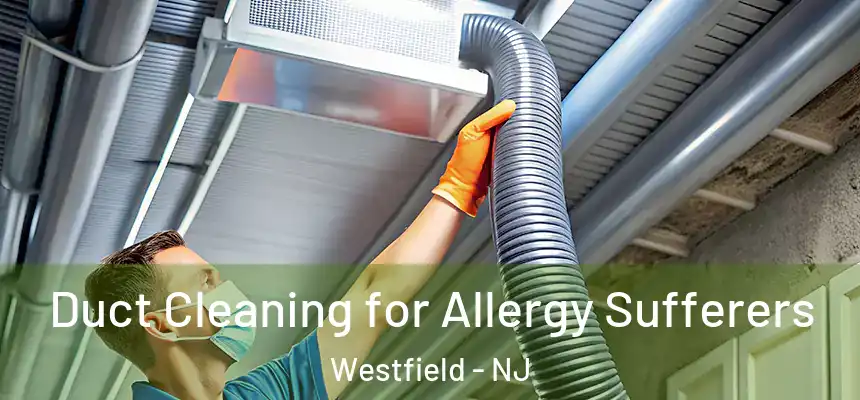  Duct Cleaning for Allergy Sufferers Westfield - NJ