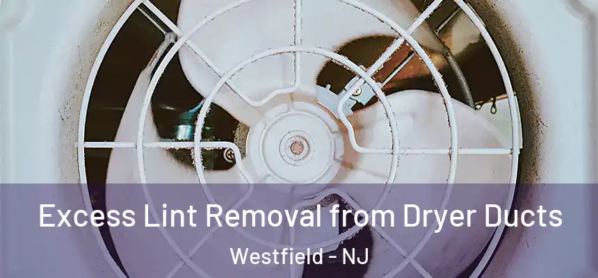  Excess Lint Removal from Dryer Ducts Westfield - NJ