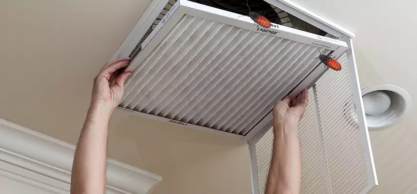 Our Insect Removal from Air Ducts Services in Westfield, NJ