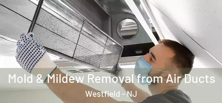  Mold & Mildew Removal from Air Ducts Westfield - NJ