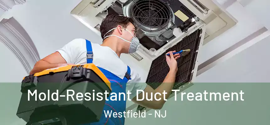  Mold-Resistant Duct Treatment Westfield - NJ