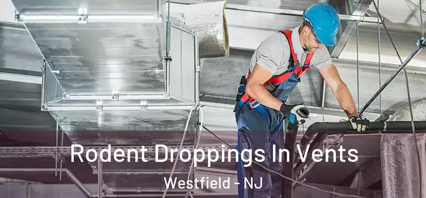  Rodent Droppings In Vents Westfield - NJ