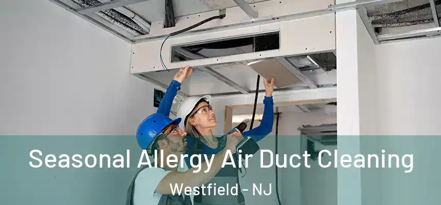  Seasonal Allergy Air Duct Cleaning Westfield - NJ