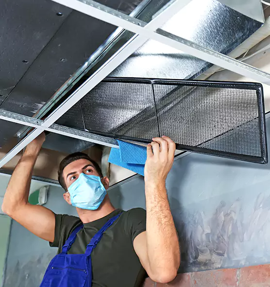 About Air Duct Bacteria Removal in Westfield