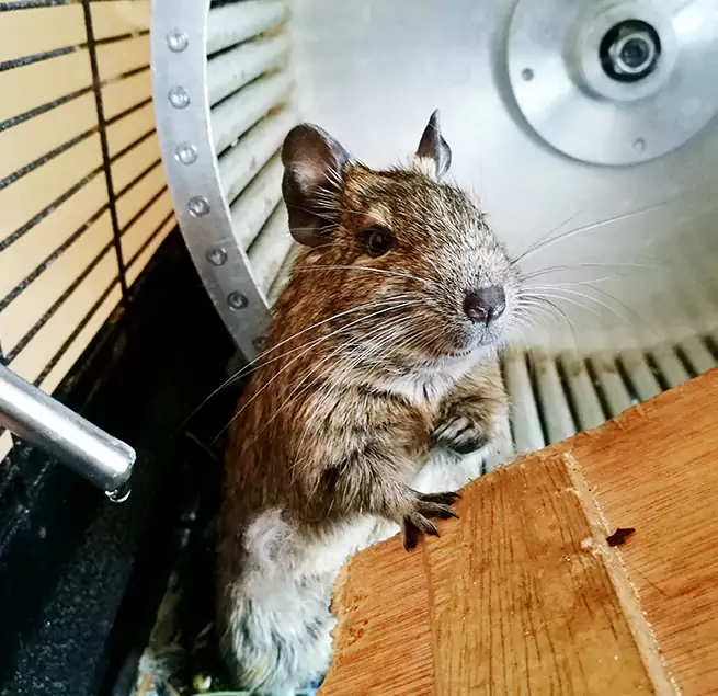 Why Homeowners & Businesses Trust Us Westfield, NJ