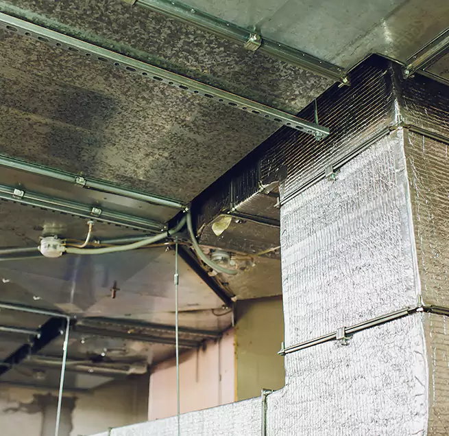 Why Homeowners & Businesses Trust Us in Westfield, NJ?